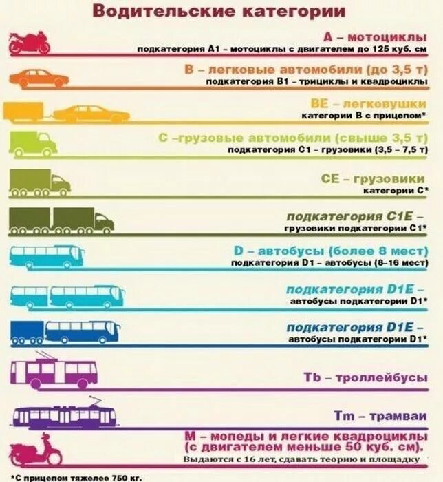 Что входит в категорию развлечения. Категория в1 с1 водительских прав что это. Категории водительских прав с расшифровкой в и в1. Категории водительских прав с расшифровкой м1.