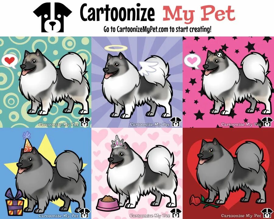 Pet создать. CARTOONIZEMYPET шпица. Cartoonize. Cartoonize my Pet. Кеесхонд рисунок.