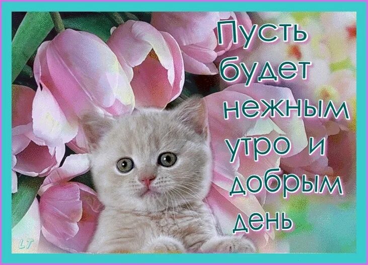 нежная классная. утро невесты фотосессия. нежные весенние цветы. красивый розовый. наряд на утро невесты.