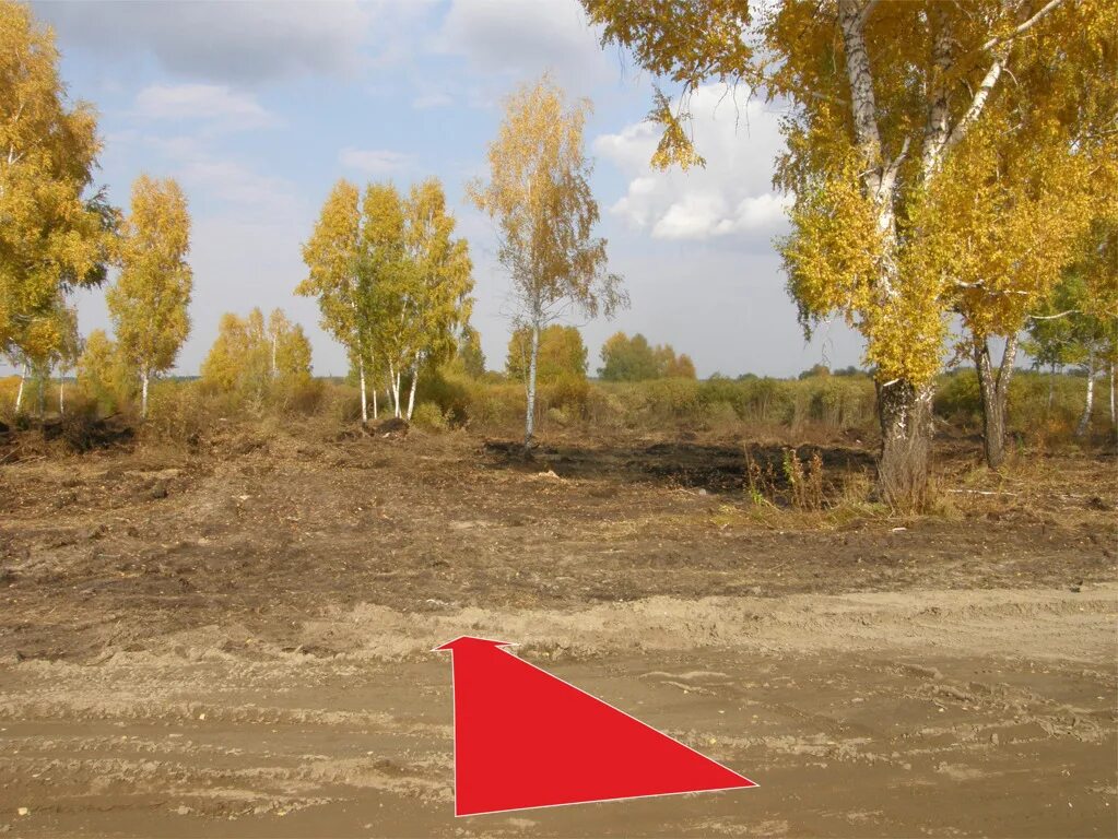 Погода в криводановка новосибирская область на неделю. Погода в криводановка новосибирская область на неделю. Криводановка новосибирская область. Аяшь криводановка. Погода в криводановка новосибирская область на неделю.