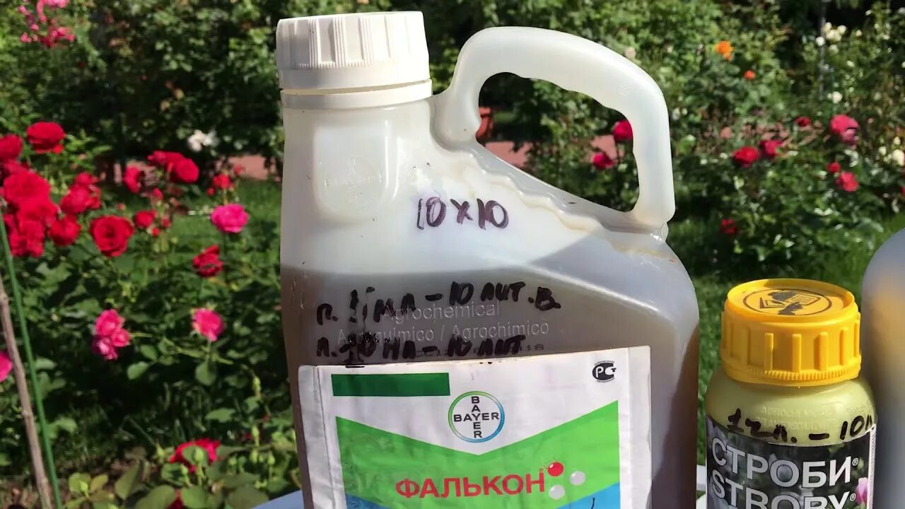 Применение фалькона для винограда