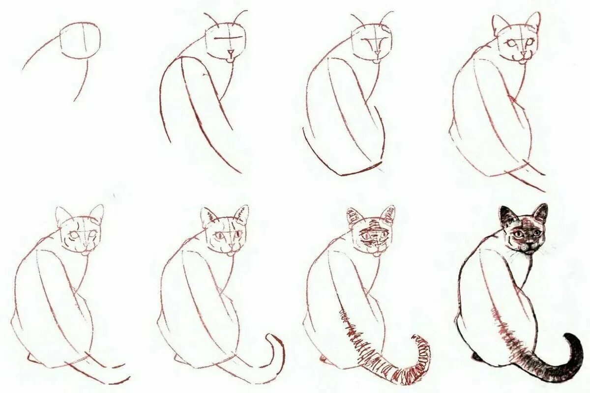 Картинки пошагово