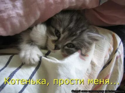 Извиняйтесь милая