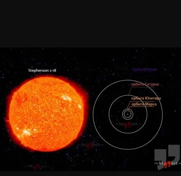 Стивенсон 2-18 (rsgc 2-18). Uy щита и бетельгейзе. Гипергигант стивенсон 2-18. Стивенсон 2 18 сравнение. Звезда стивенсон 2-18 и uy щита.