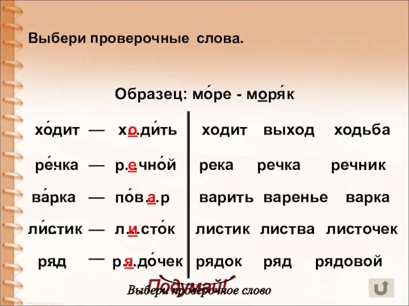 Язык корень и проверочное слово