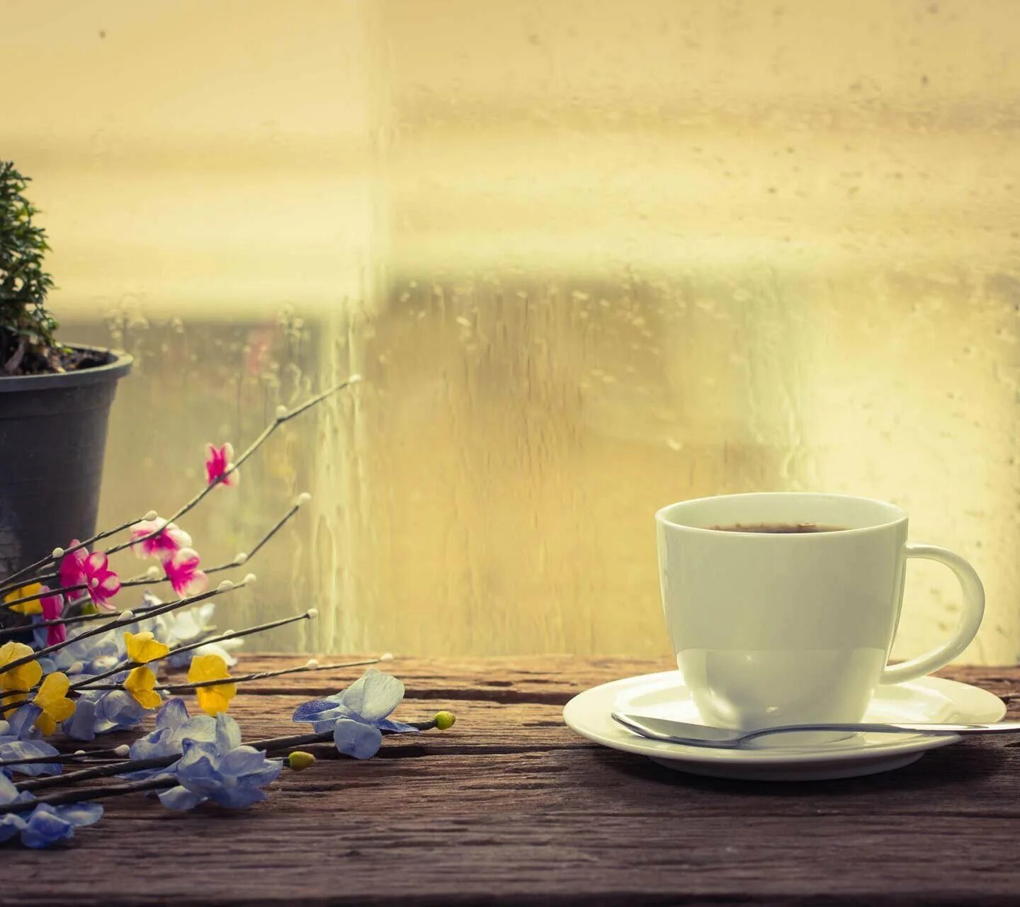 Доброе дождливое утро весны. Кружка чая на окне. Чай на подоконнике. Чашка на окне. Чашка на подоконнике.