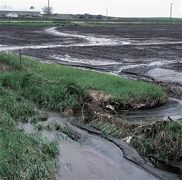 Засоление и эрозия. Эрозия почвы. засоление почв. водная эрозия. иллюстрация процесса эрозии почвы в результате ветра и воды.