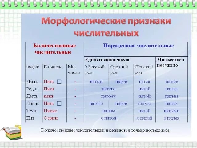 Признаки числительных. Морфологические признаки числительного. Признаки порядковых числительных. Постоянные морфологические признаки числительных. Морфологические признаки порядковых числительных