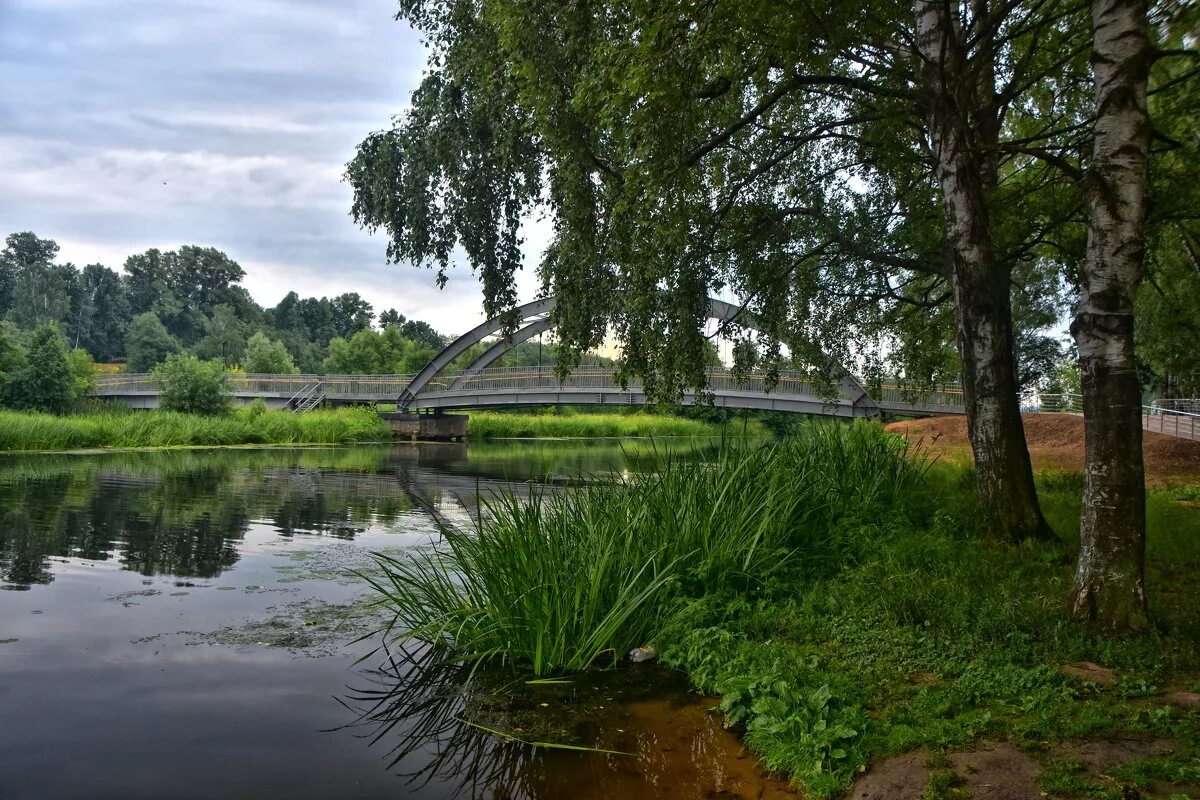 Город на реке сестра. Сестрорецкий парк в Клину. Река сестра Сестрорецкий парк Клин. Клин Клинский парк. Сестрорецкий парк Клин осень.