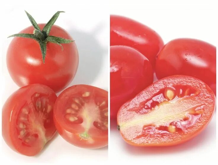 Tomato v