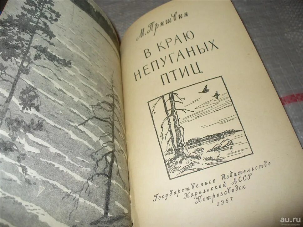 Край непуганных