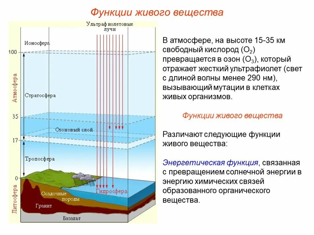 1 атм высота воды. Оболочки литосферы гидросферы. Геологические оболочки земли. Биосфера это Геологическая оболочка которая. Границы атмосферы литосферы гидросферы.