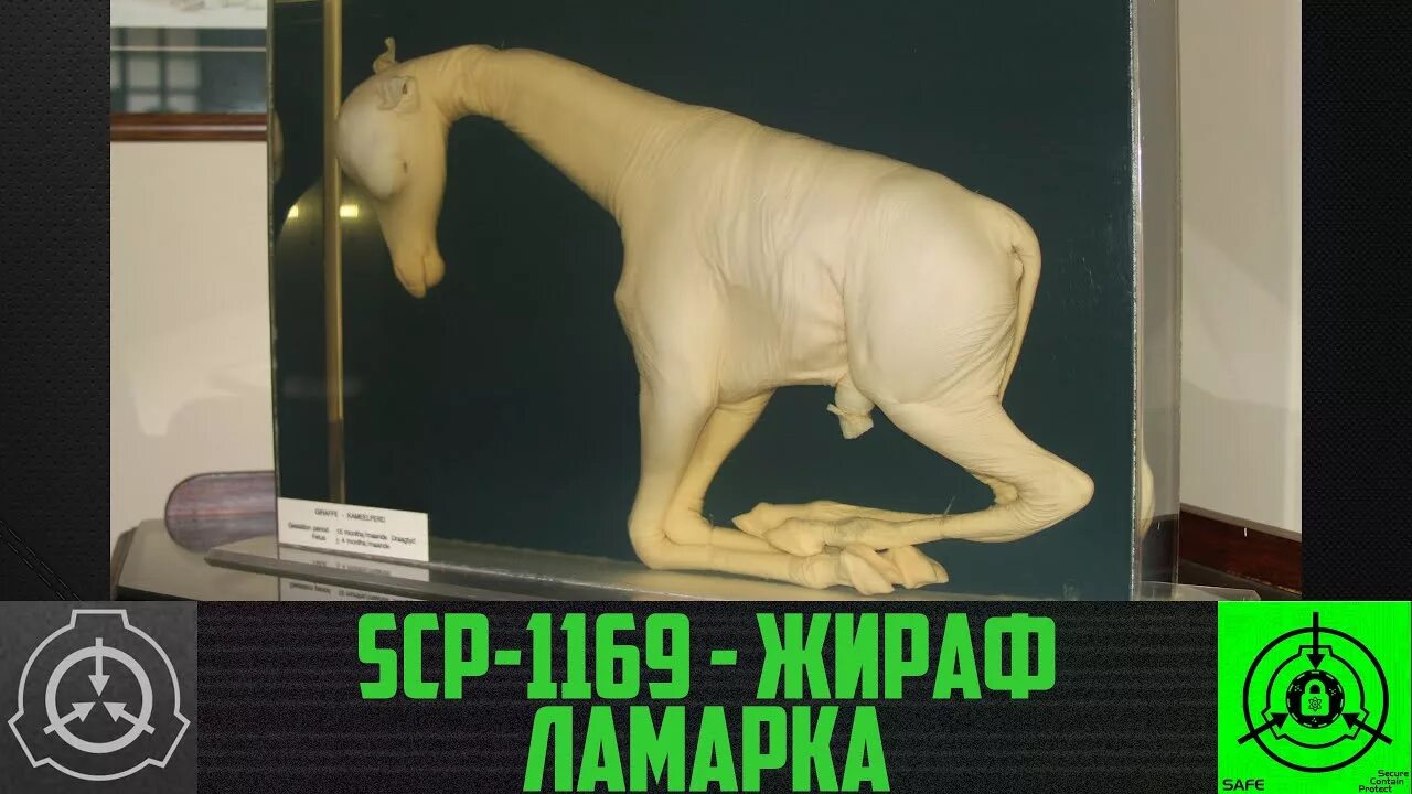 Санни клокворк scp. Scp o5 sunnyclockwork. Скульптор реальности scp. Мог тау 5 самсара scp. Scp art sunnyclockwork.