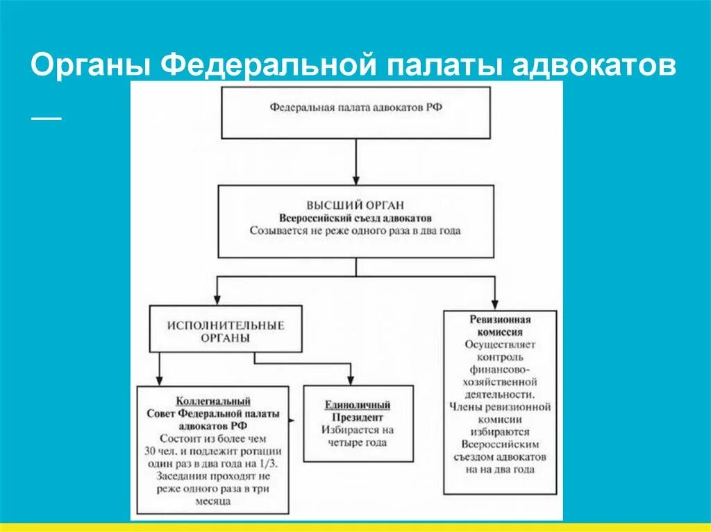 Органы адвокатского самоуправления в рф. Федеральная палата адвокатов Российской Федерации органы управления. Структура Федеральной палаты адвокатов РФ. Федеральная палата адвокатов РФ схема. К органам Федеральной палаты адвокатов относятся.