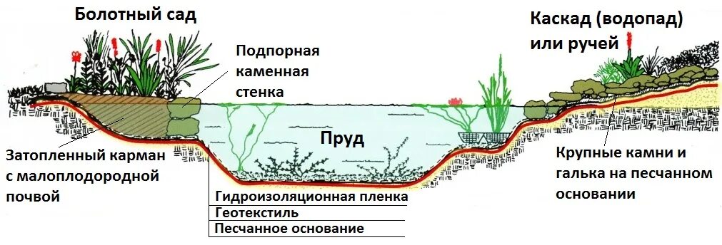 Какой глубины должен быть пруд. Биоплато для пруда схема. схема устройства искусственных водоемов. чертежи прудов с биоплато. схема устройства искусственного пруда.