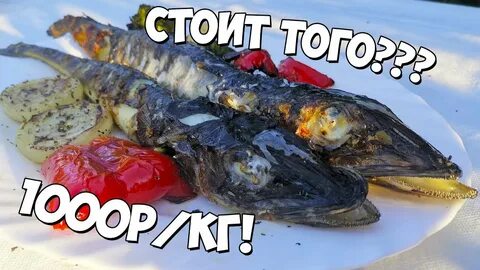 Куда рыба