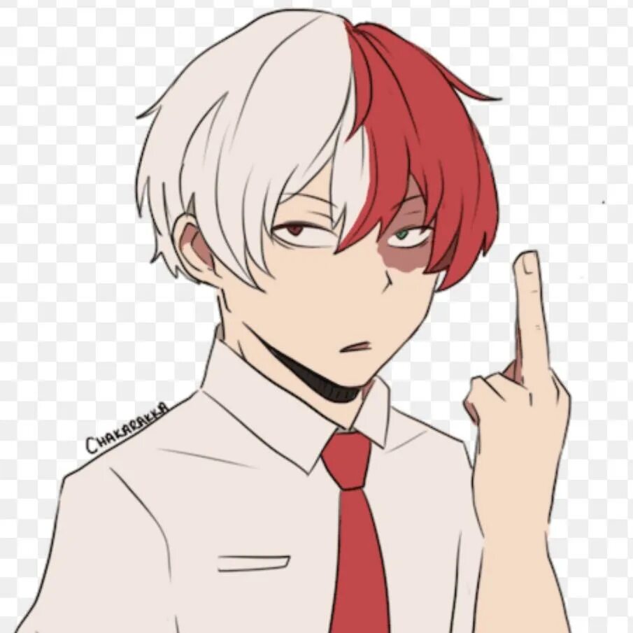 Todoroki reader