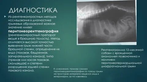 Передние грыжи