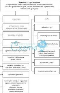 Правовое положение социальных органов