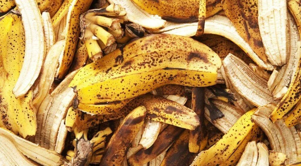 Как сделать удобрение из банановой кожуры. Удобрение из кожуры банана для комнатных. Банановая кожура для растений. Шкурка от банана. Удобрение из кожуры банана для комнатных.