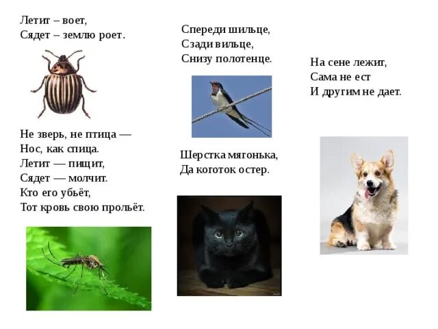 Летит пищит сядет