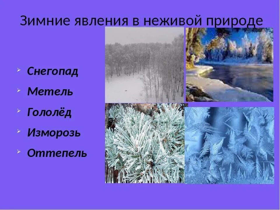 Пример зимы