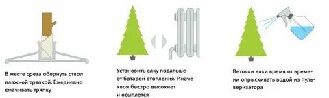 Как сделать чтобы елка долго стояла дома