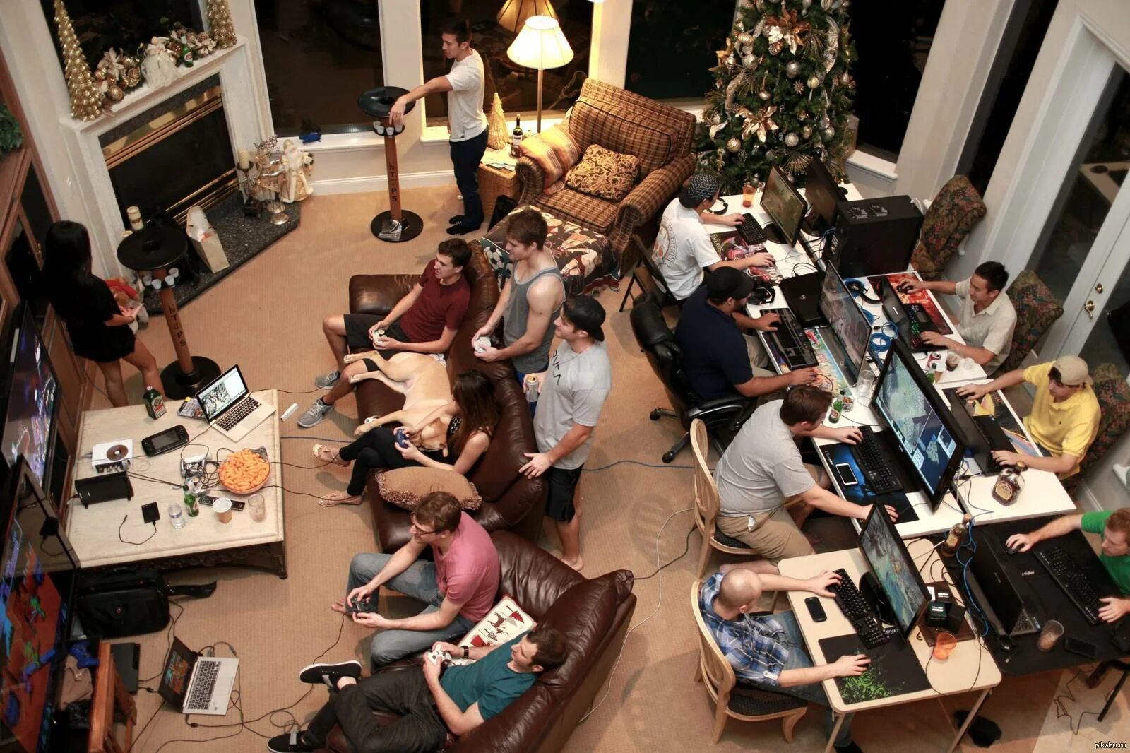 False party