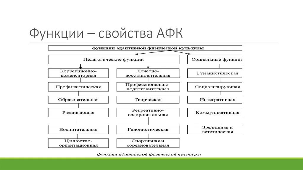 Примеры функций групп. Характеристика функций афк. важнейшие педагогические функции афк. педагогические принципы адаптивной физической культуры. функции адаптивной физической культуры.