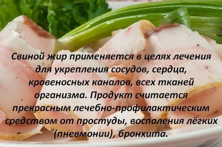 Чем полезно сало. Польза сала. Свиное сало польза. Сало польза и вред для организма.