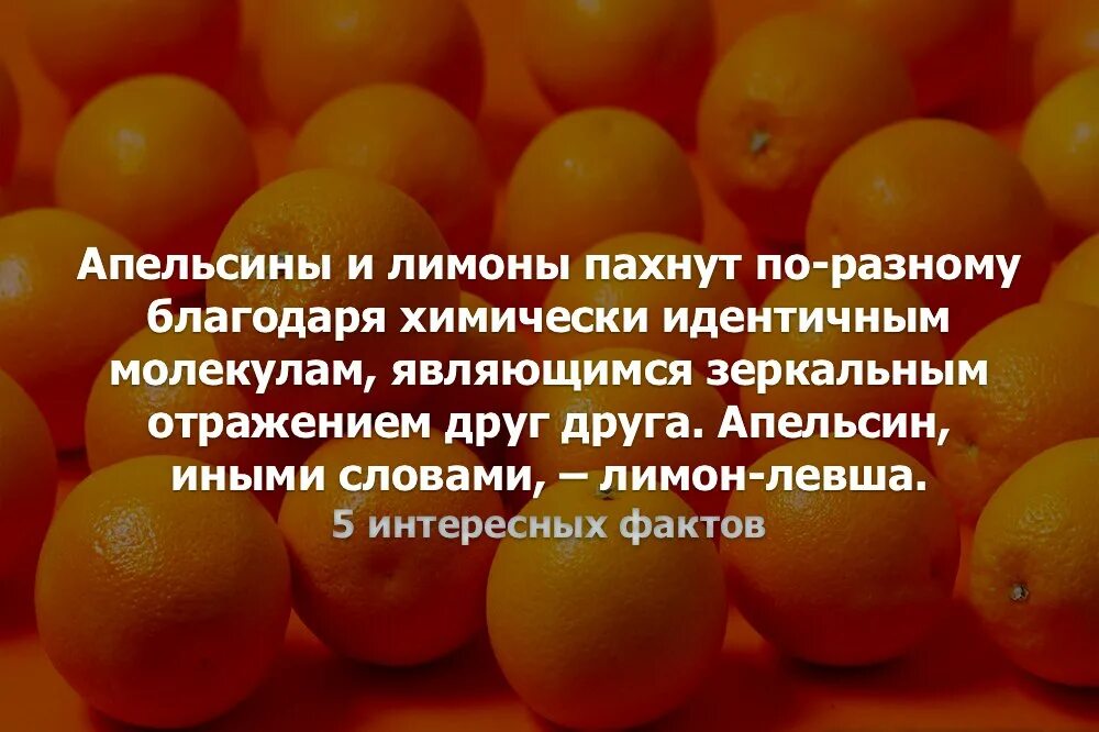 Факты о лимоне. Факты про апельсин. Интересные факты о апельсине. Интересные факты про лимон для детей.