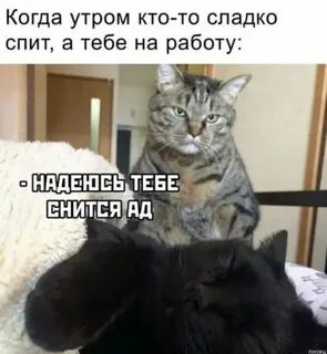 А когда ты будешь работать