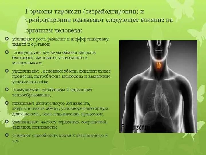 Заболевание при недостатке тироксина. Действие гормонов на организм. Влияние эндокринной системы на организм. Организм гормон влияние на организм. Воздействие тироксина.