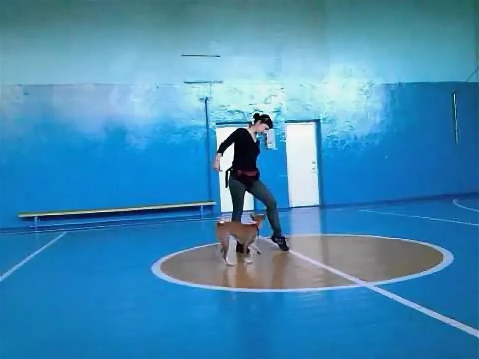 1 ый раз. 1 ый раз