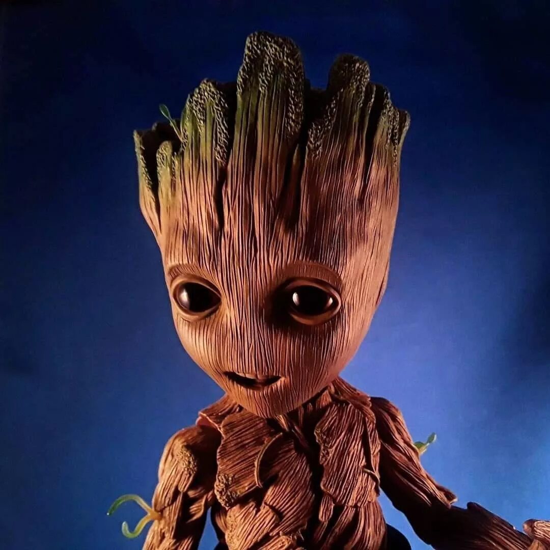 Groot
