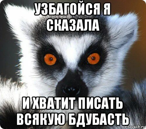 Никак не успокоишься. Ты узбагойся. Узбагойся картинки. Узбагойся Мем. Лемур узбагойся.