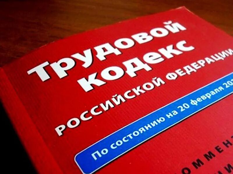 Инспекция труда тк. Инспекция труда. трудовая инспекция логотип. инспекция труда картинки. трудовая инспекция ленинградской области.