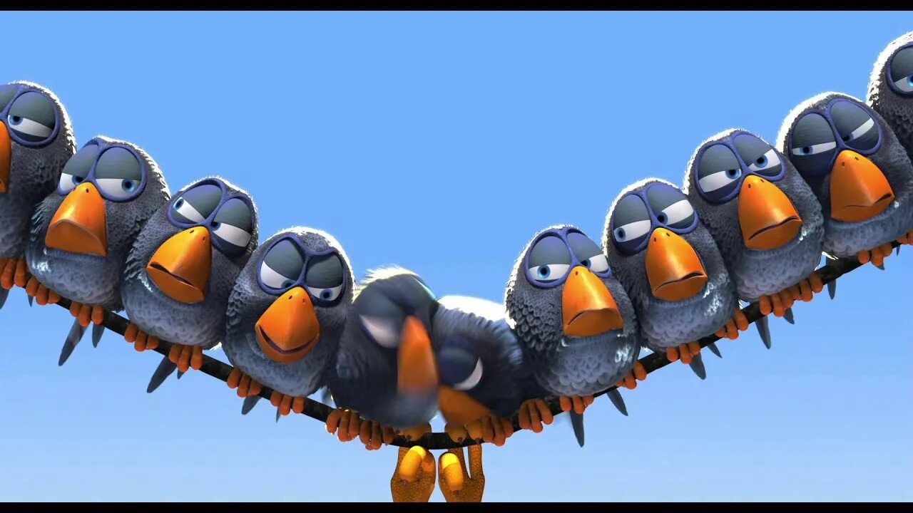 Seabirds игра. Атлантический тупик. Голова гуся. Bird end. Паффин птица.