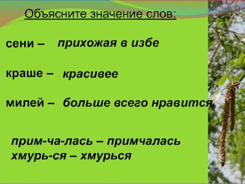 Пояснение значение слова. Лексическое слово сени. Объясни значение слова сени. Объяснить значение слов. Сени смысл слова.