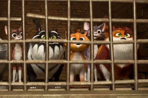 Включи кот кинопоиск