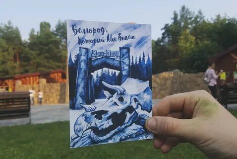 Бэи белгород