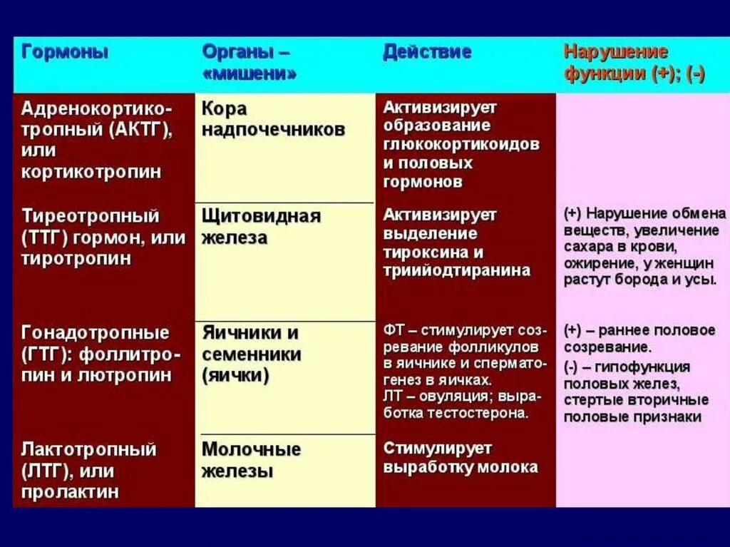 Какие гормоны регулируют обмен веществ. Гормоны регулирующие обмен веществ. Гормоны в регуляции метаболизма.. Гормоны регулируют обменные процессы организма. Гормоны влияющие на метаболизм.