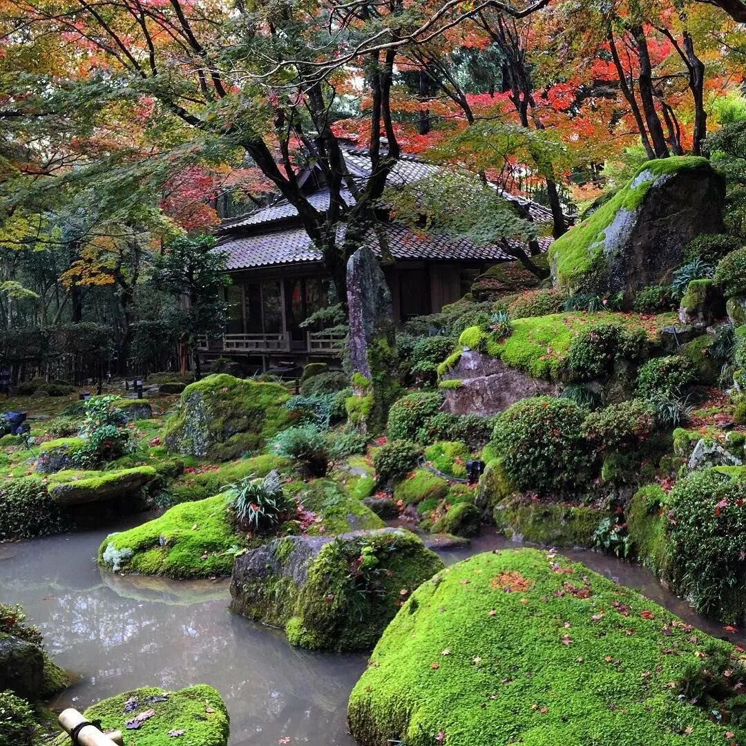 Холмистый японский сад. Сад Санкэй-эн Япония проект. Кумицу Япония. Японский Ботанический сад, Киото, Япония архитектура. Сады времен значение