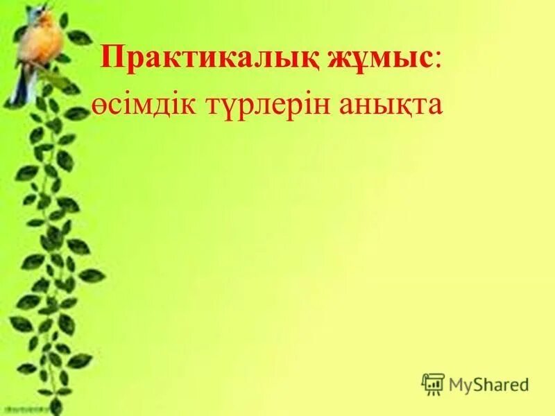 Паустовский о любви. Паустовский любовь к родной природе. Высказывания Паустовского о природе. Паустовский афоризмы о природе. Паустовский цитаты о природе.