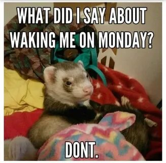 Begin on monday
