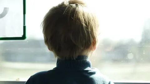 Back window