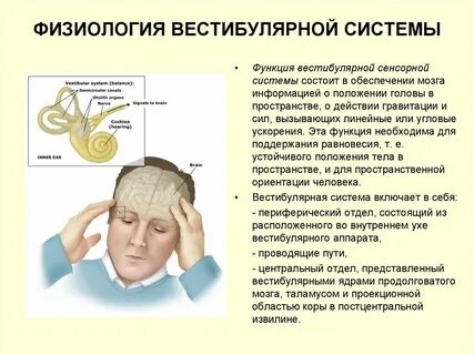Исследование вестибулярной функции