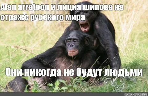 Meme alan