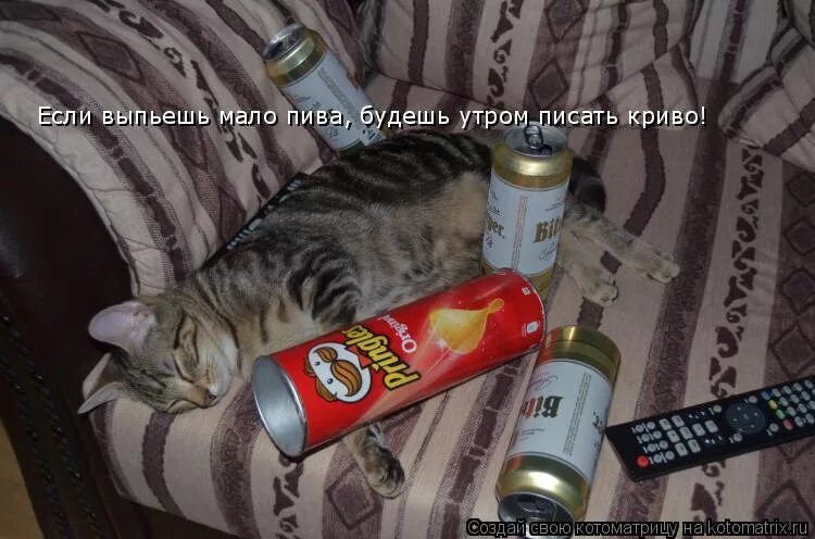 Мало выпили. Пиво будешь. Пивко будешь. С пива будешь писать криво. Пиво ссать будешь криво