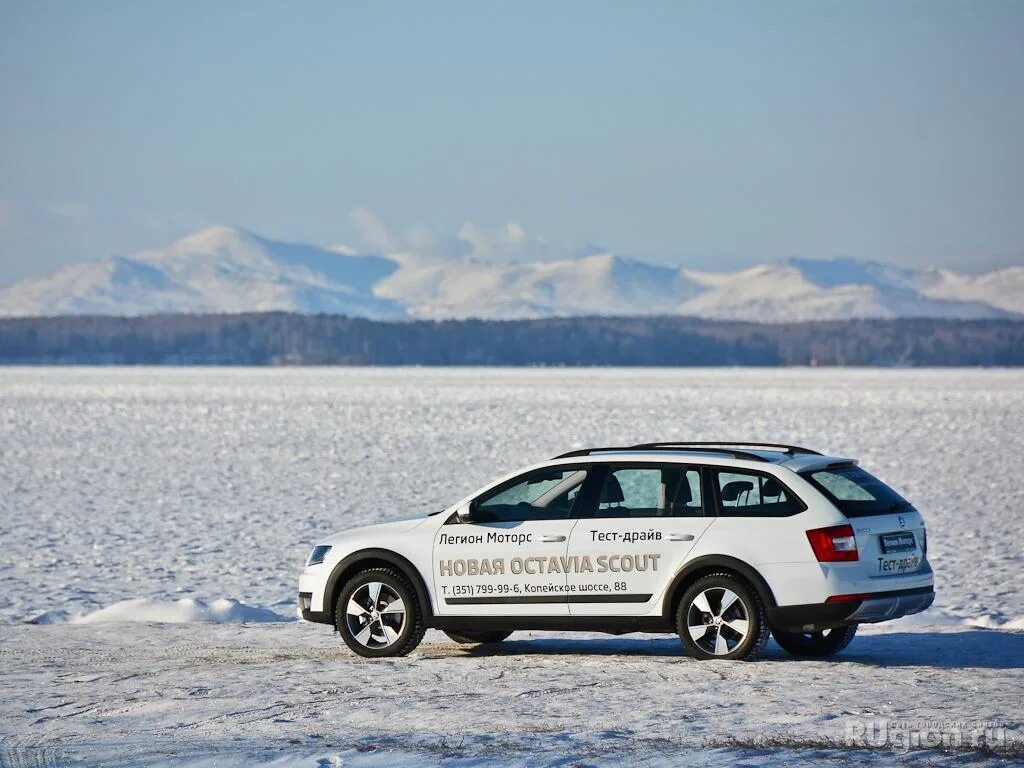 Авточел. Skoda Octavia Scout. Норм машина.